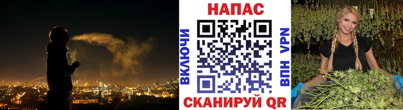 мориарти клад  Галич  Бошки Шишки Bruce Banner  наркотики 